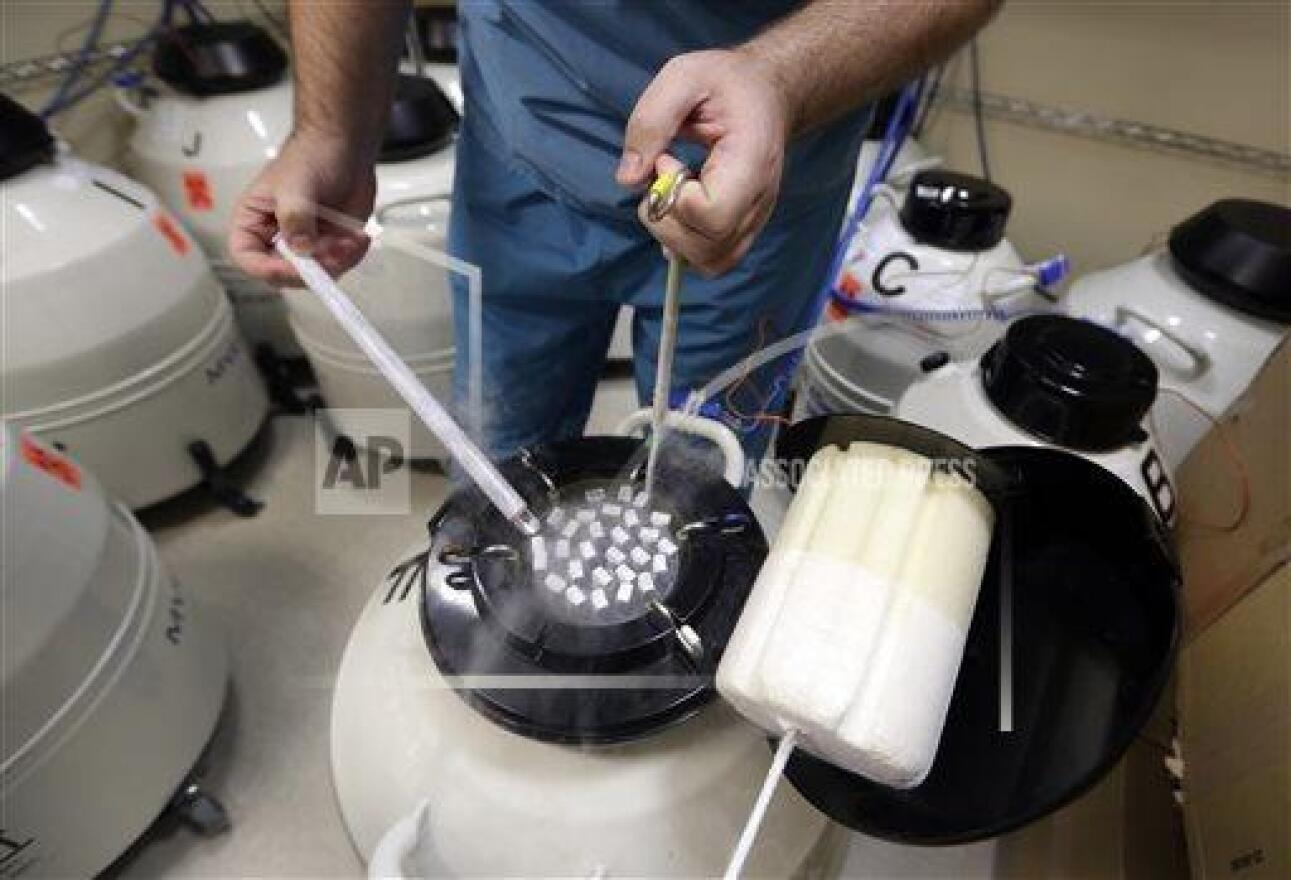 An embryologist displays some of the frozen sperm stored at a fertility clinic.